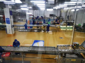 多圖首發(fā)！解密水產(chǎn)智能化工廠與文化館，探索未來水產(chǎn)新生態(tài)